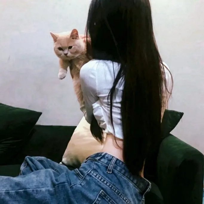 凯特的秘密
