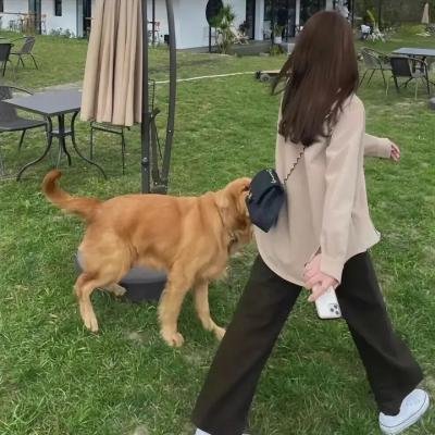 这群汉子